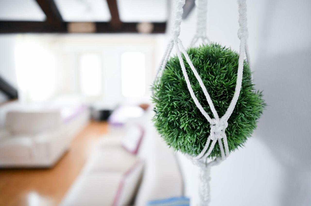 Apartments Bazilika Novalja Kültér fotó